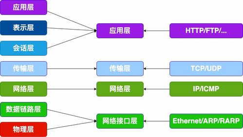 計算機網絡的層次結構與信息管理服務